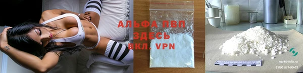 PSILOCYBIN Аркадак