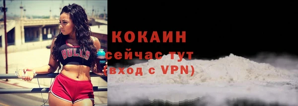 apvp Армянск