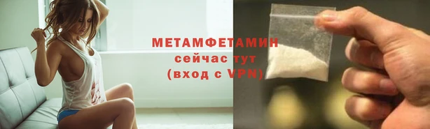 PSILOCYBIN Аркадак
