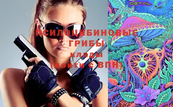 прущая мука Арсеньев