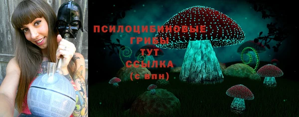 PSILOCYBIN Аркадак