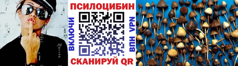Купить где  Киров  Галлюциногенные грибы мицелий 